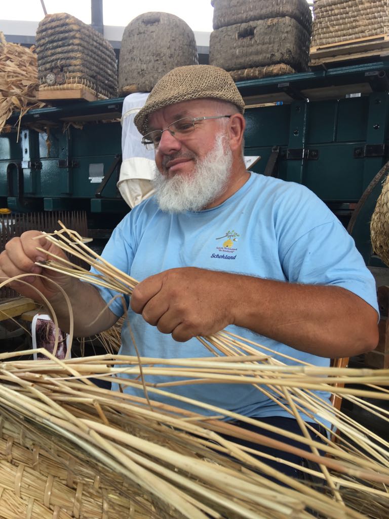docent korfvlechten Rob Triest